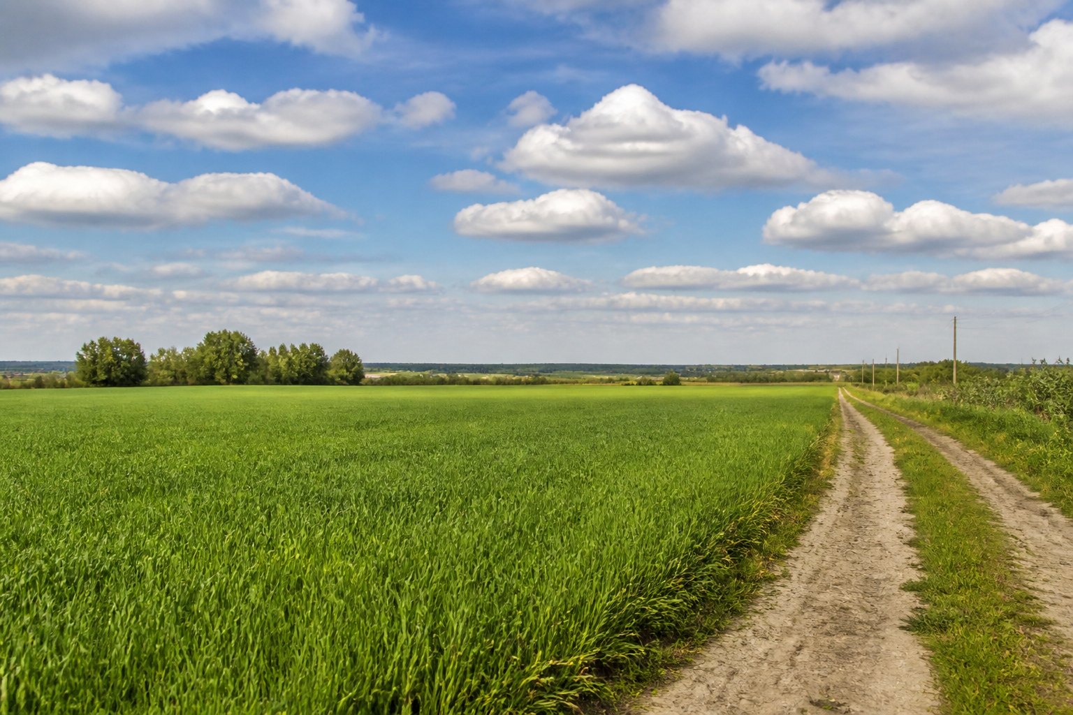 Skup nieruchomości za gotówkę - Działka rolna